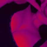 nicoljust4u