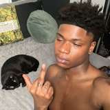 wholelottagayshh